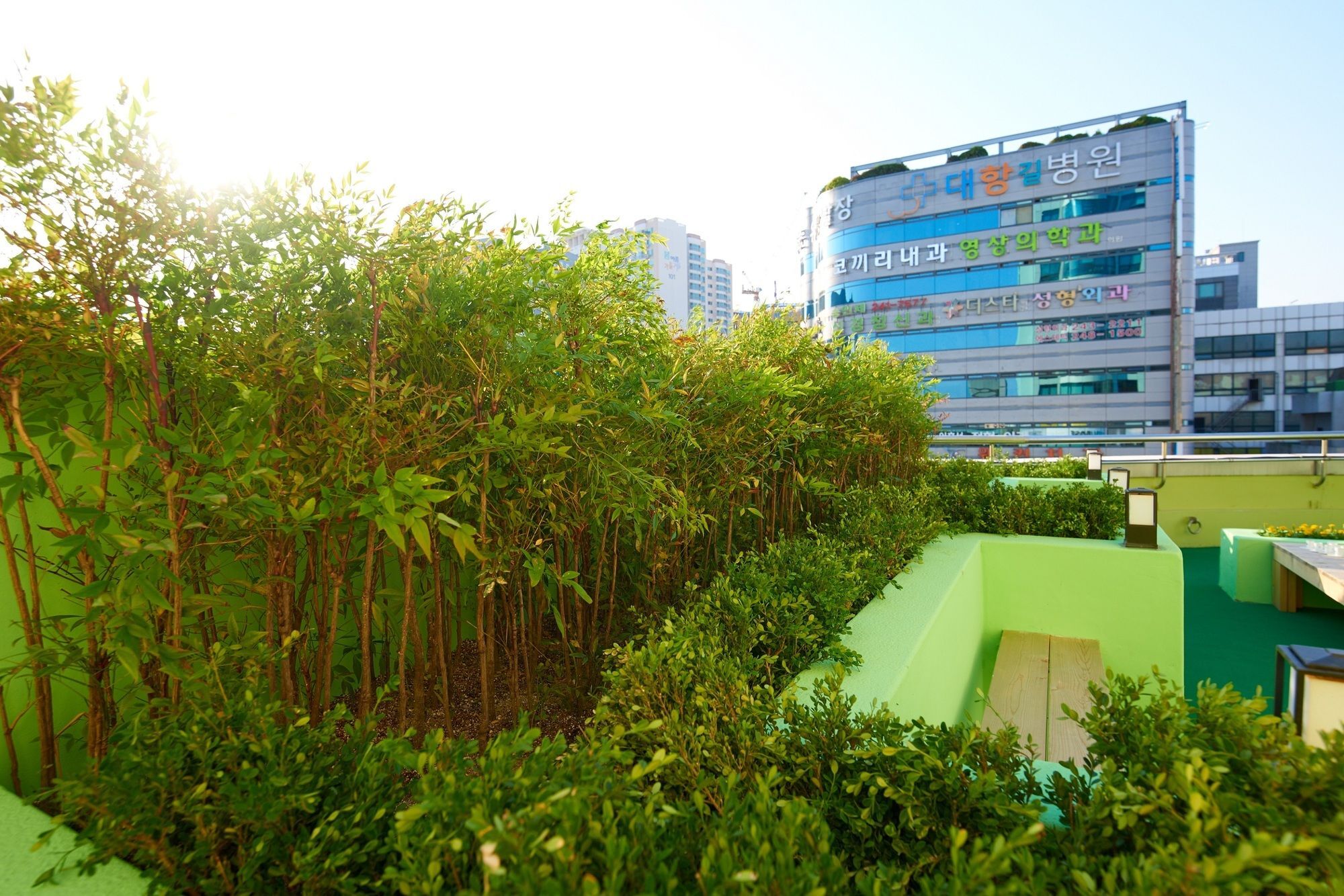 24 Guesthouse Jagalchi Busan Exterior foto