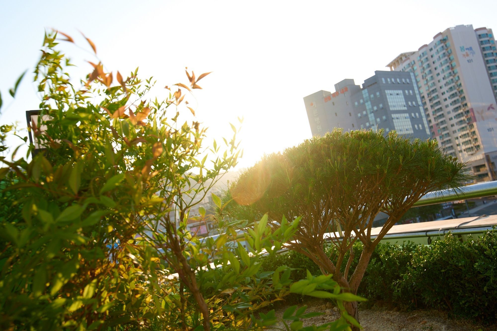 24 Guesthouse Jagalchi Busan Exterior foto